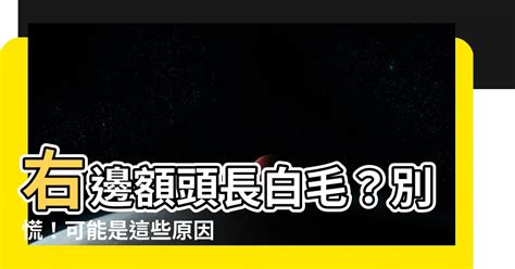 右邊額頭長白毛|【右邊額頭長白毛】右邊額頭長白毛？別慌！可能是這些原因引起。